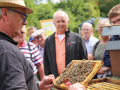 Dr. Stefan Berg mit einer Wabe auf der viele Bienen sitzen in der Hand.