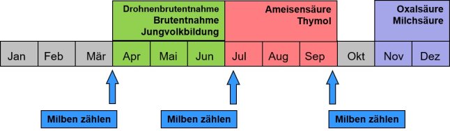Termine für die Messung des Milbenabfalls: Anfang April, Anfang Juli und Ende September.