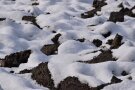 Schneebedeckter Boden