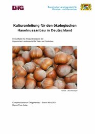Deckblatt Kulturanleitung für den ökologischen Haselnussanbau in Deutschland