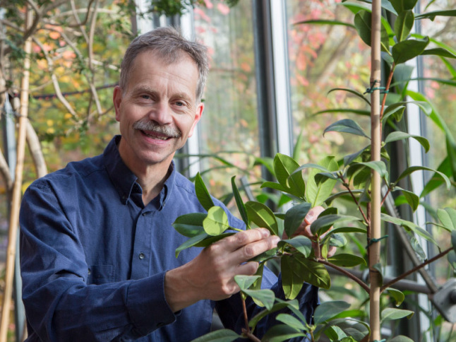 Wolfgang Graf überprüft die Blätter einer Pflanze