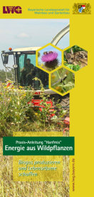 Merkblatt Praxis-Anleitung Hanfmix - Energie aus Wildpflanzen