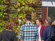 Johanne Bohl mit Kongressteilnehmern vor der mit Pflanzen bewachsenen Wand an der Forschungsstation.