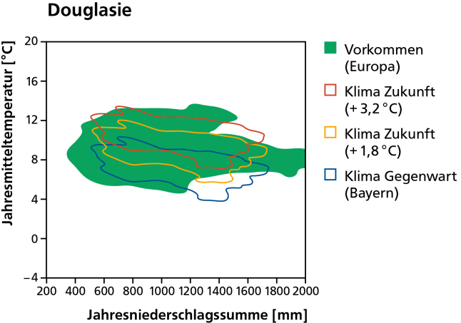 Vorkommen der Douglasie heute als dunkelgrüne Fläche und mit dem Klima von heute und in der Zukunft bei wahlweise 1,8 und 3,2 Grad Erwärmung schematisch dargestellt.