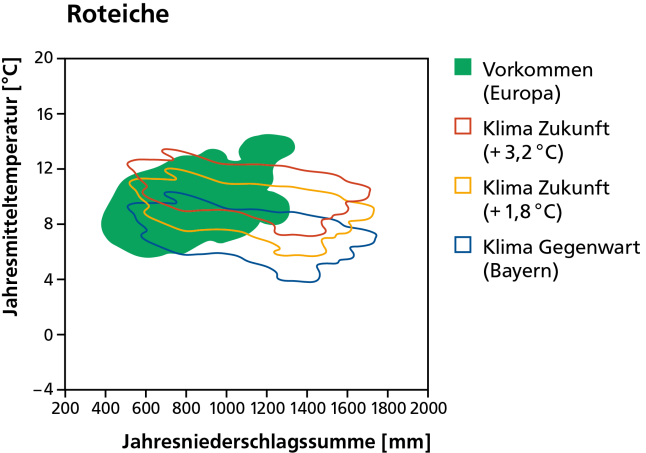 Vorkommen der Roteiche heute als dunkelgrüne Fläche und mit dem Klima von heute und in der Zukunft bei wahlweise 1,8 und 3,2 Grad Erwärmung schematisch dargestellt.