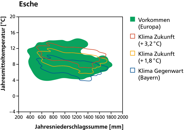 Vorkommen der Esche heute als dunkelgrüne Fläche und mit dem Klima von heute und in der Zukunft bei wahlweise 1,8 und 3,2 Grad Erwärmung schematisch dargestellt.