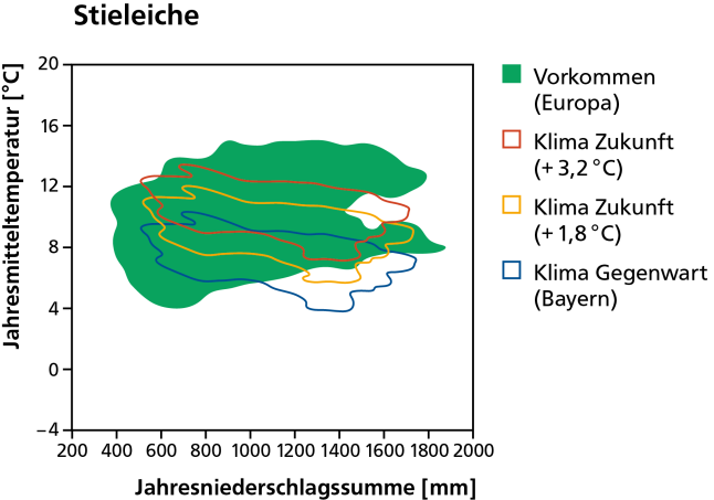 Vorkommen der Stieleiche heute als dunkelgrüne Fläche und mit dem Klima von heute und in der Zukunft bei wahlweise 1,8 und 3,2 Grad Erwärmung schematisch dargestellt.