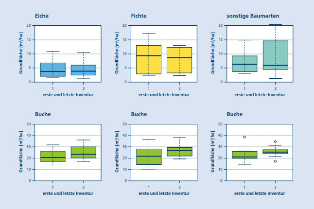 Entwicklung von Mischbaumwarten und Buche im Vergleich von 1. zu 2. Inventur