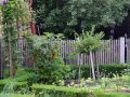 Ein Bauerngarten mit Holzzaun und niedrig geschnittenen Beeteinfassungen aus Buchs. In den Beeten stehen Johannisbeer- und Stachelbeersträucher und verschiedene Gemüsepflanzen.