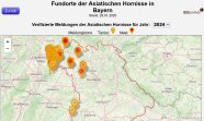 Auf einer Landkarte sind die gefundenen Nester der Vespa velutina eingezeichnet.