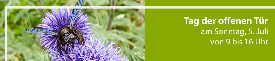 Header Tag der offenen Tür 2026