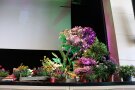 Oleander und andere Blumen schmücken die Bühne
