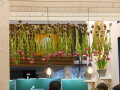 Tulpen wurden an der Zwiebel aufgehängt. Die roten Blüten bilden ein Dach über den Tischlampen