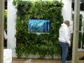 Um ein Fernsehgerät eine begrünte Wand mit verschiendenen Pflanzensorten