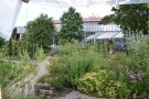 Blick in den Schaugarten der Bayerischen Gartenakademie