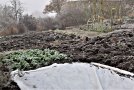 winterlicher Garten mit einem mit Vlies abgedeckten Beet