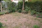 Vertrockneter Rasen in einem Hausgarten