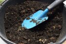 Blaue Handschaufel in einem schwarzen Eimer mit Kompost