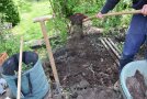 Mensch schüttelt Kompost mit Schaufel über das Beet