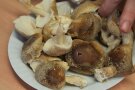 Shii-Take Pilze auf einem Teller