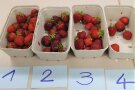 Erdbeerfrüchte in vier Pappschälchen und Nummern von 1 bis 4
