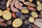 Bunte Blechkartoffeln