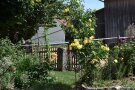 Ziergarten mit Kletterrose