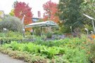 Gemüsegarten im Herbst