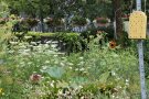 Naturgarten mit Insektennisthilfe