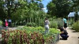 Fünf Menschen stehen oder knien in einem Gemüsegarten
