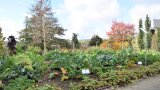 Gemüseschaugarten im Herbst