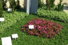 Grabbepflanzung mit Ornament im Wechselflor
