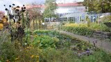 Gemüsegarten im Herbst