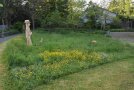 Wieseninsel mit Holzfigur