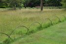Wiese und Rasen durch Bogenzaun abgegrenzt