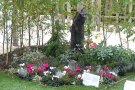Herbstliche Grabbepflanzung mit Alpenveilchen
