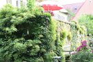 Grüne Gärten und Wände 