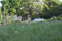 Wiese Schaugarten