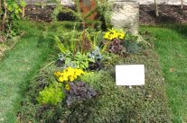 Grabbepflanzung mit Blüte, Blattschmuck und Gräsern