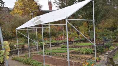 Tomatendach im Garten