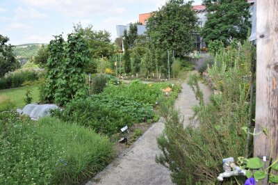 Gemüsegarten an der LWG