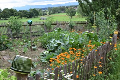 Vielfältiger Gemüsegarten mit Holzzaun