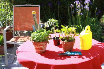 runder Tisch mit roter Tischdecke und drei Topfen mit Pflanze und gelbe kleine Gießkanne