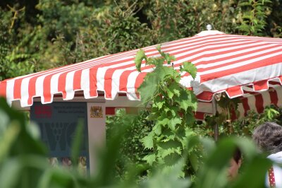 Rot-weiß gestreifter Marktschirm gegen Hitze
