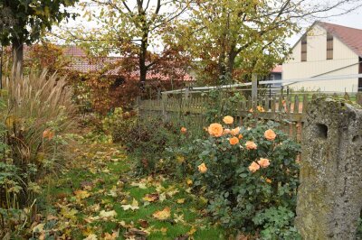 Herbstgarten mit Rosenblüten