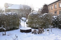 Winter im Garten mit Schnee