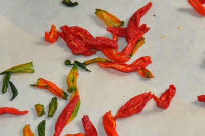 Chili zum Trocknen ausgelegt
