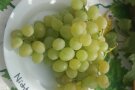 Traube mit grün-gelben Beeren auf dem Teller.