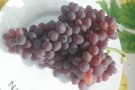 Trauben mit ovalen rot-blauen Beeren auf dem Teller.