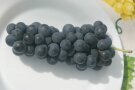 Trauben mit dunkelblauen Früchten auf dem Teller.